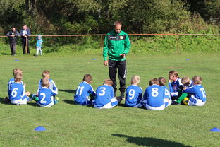 九游娱乐APP-中国篮球教练员战术创新能力培养及培训机制探讨，篮球教练员素养