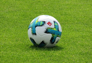 九游娱乐(jiuyou)官网-德甲防守战术转变对定位球防守效果的影响分析，德国足球防守大师