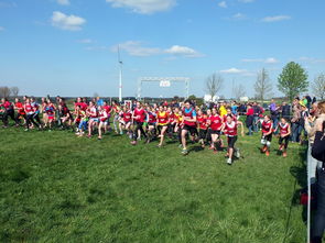 -青少年体育活动参与动机分析，青少年参加体育运动的动机